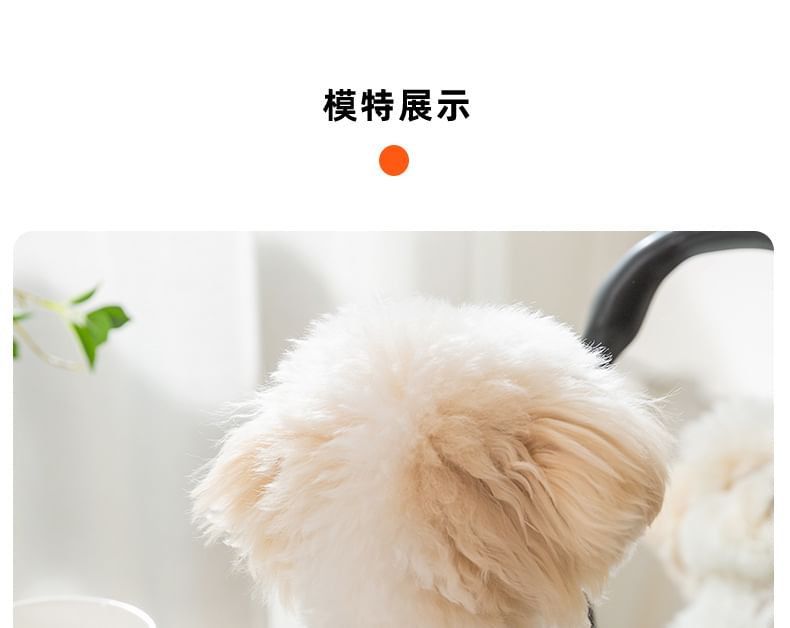 Cissilli - Pet Top met strik
