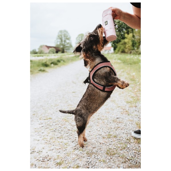 Hunter - Dummy Trainer Snack avec corde - Accessoire pour chien