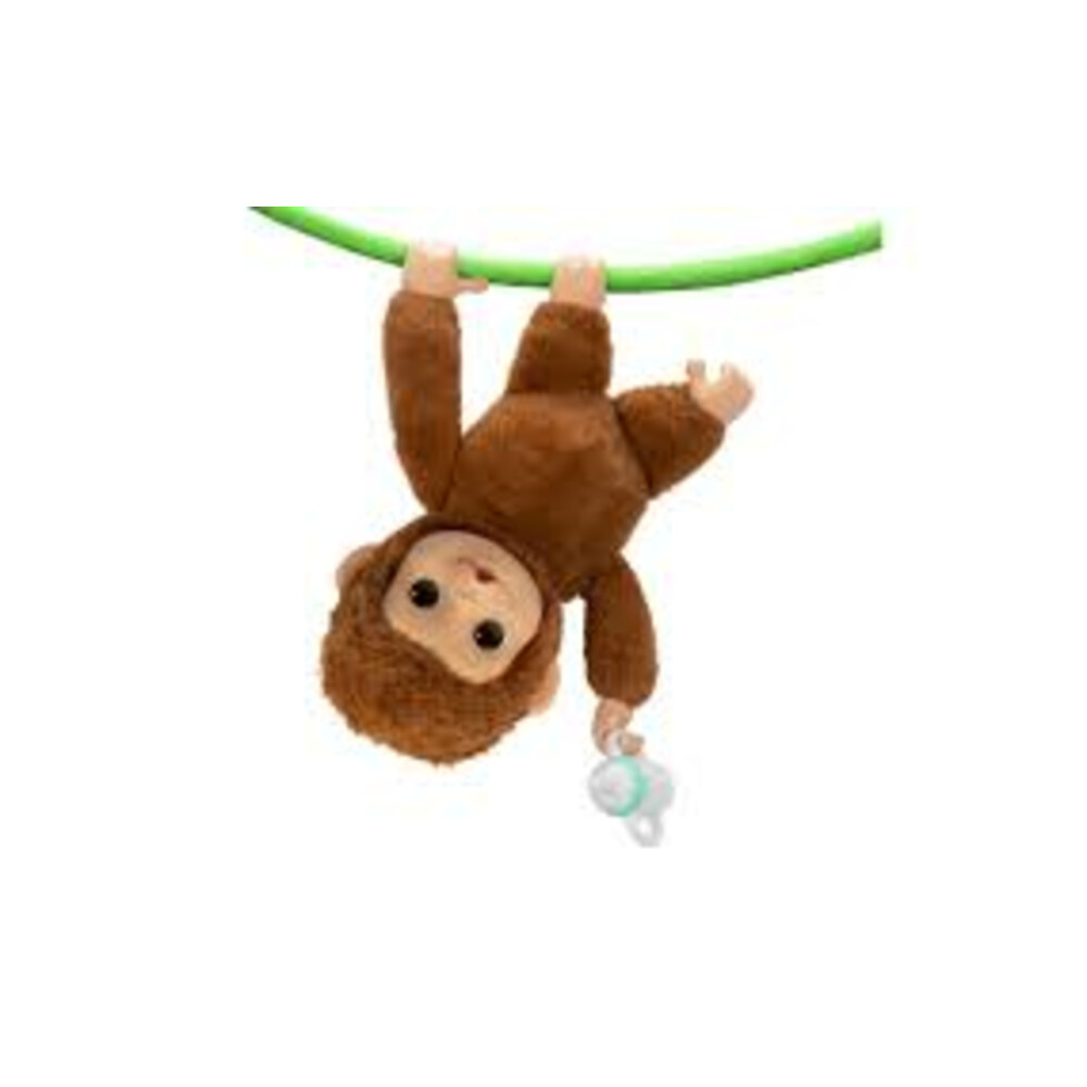 My Baby Monkey