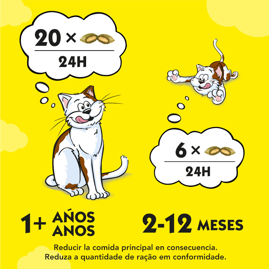 Catisfactions Petiscos de Catnip para Gatos