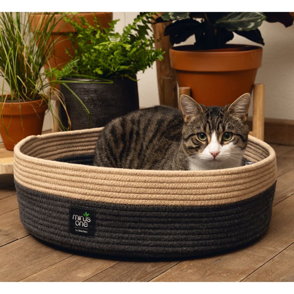 Cama para gato