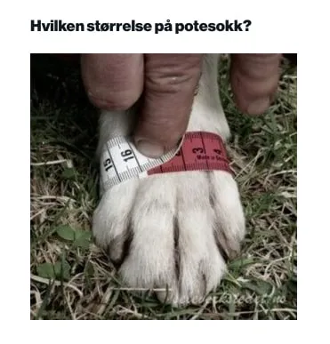 Seleverkstedet Seleverkstedet High Endurance dog boot 4pk Grå/svart