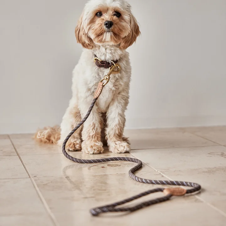 OYOY ZOO - Perry Hundehalsband, medium, caramel