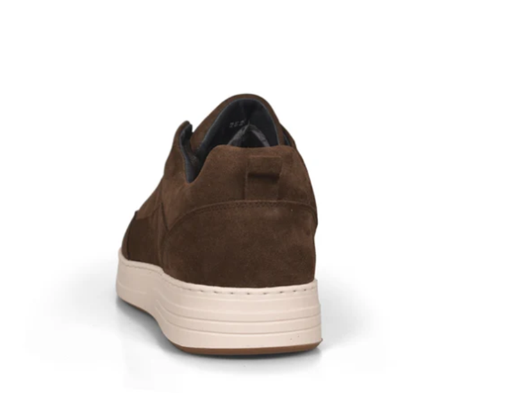 Cycleur de luxe 252230 bruin