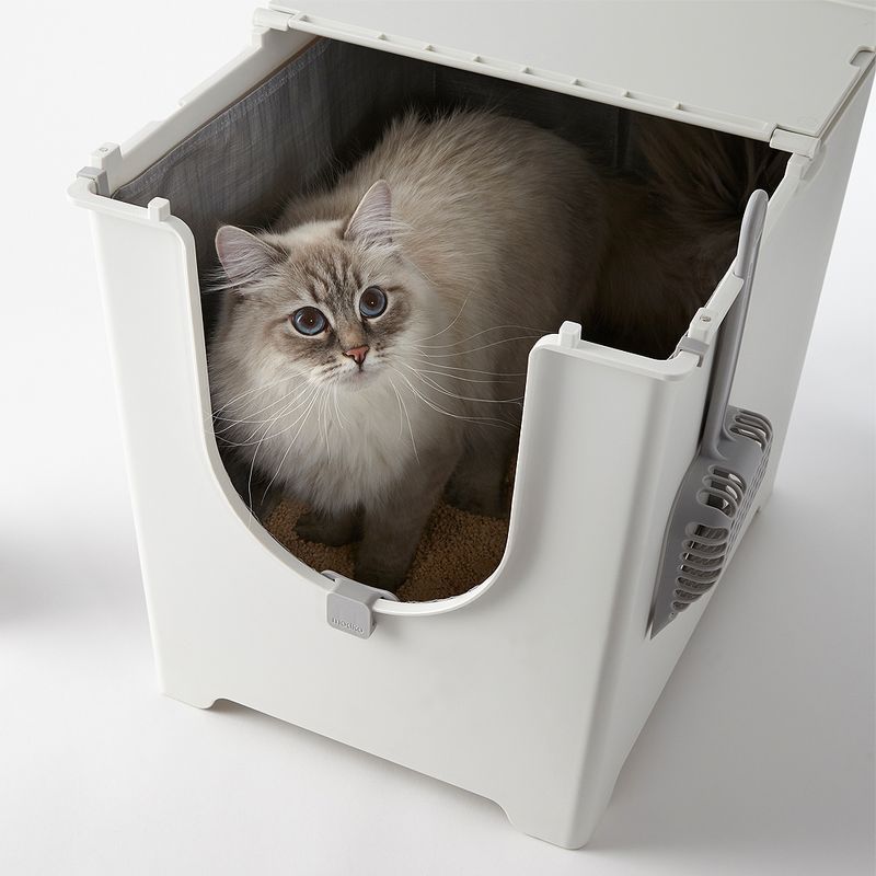 Maison de toilette Modko Flip