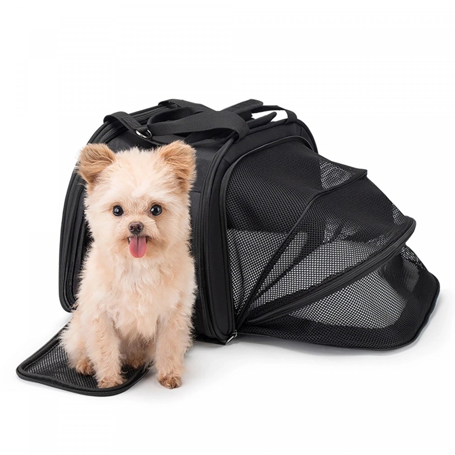 Transport-Fahrradtasche Katzen Hunde max. 10kg – Schwarz