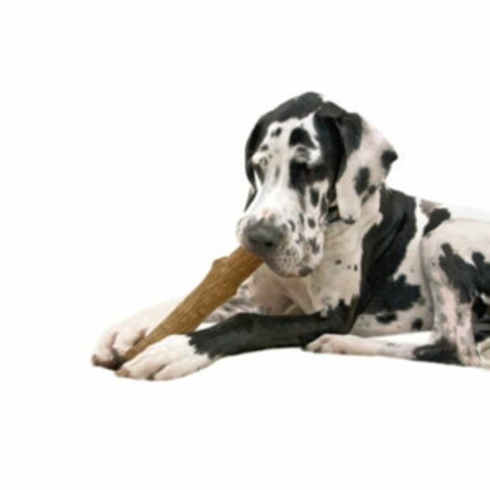 Petstages Dogwood Stick Bruin14,0x 26,7 x 3,8 cm