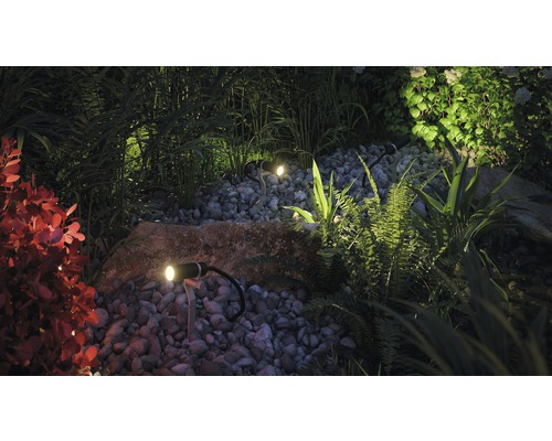 Paulmann Plug & Shine LED Spot Enkele Spot met Grondpen IP65 1.4W 90 lm 3000K Plantini antraciet 230/24V