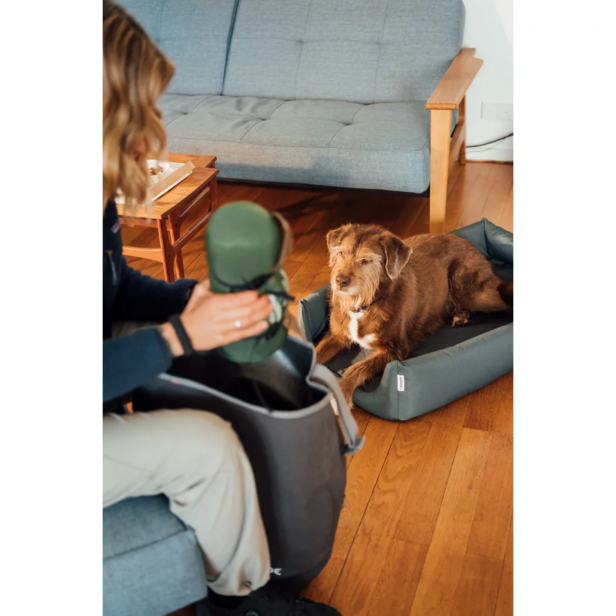 CROOZER Hundeanhänger Dog Mikke Colourful Journey