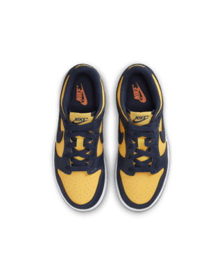 Nike Dunk Low Little Kids' Shoes