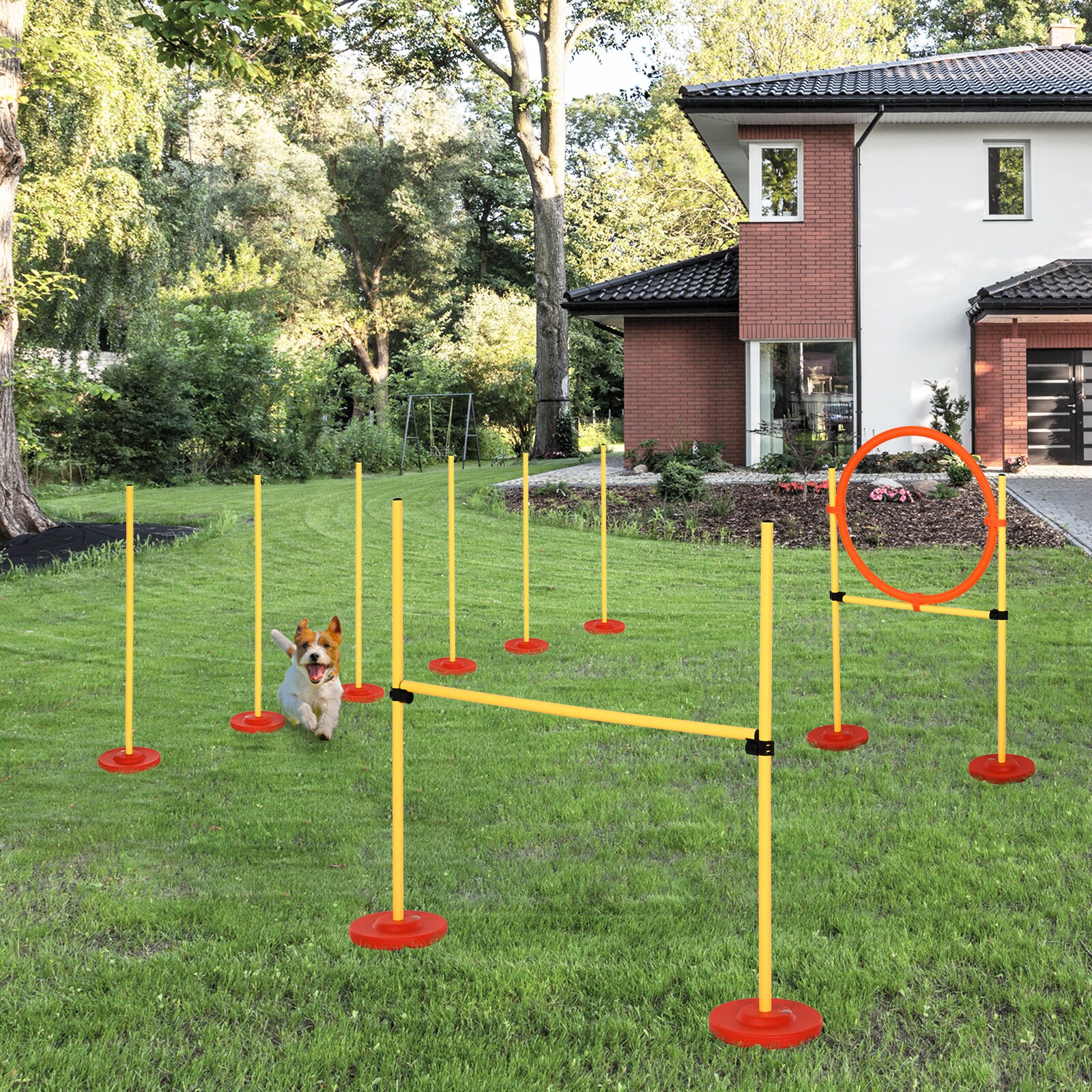 PawHut Agility Set 3-in-1-Training gelb