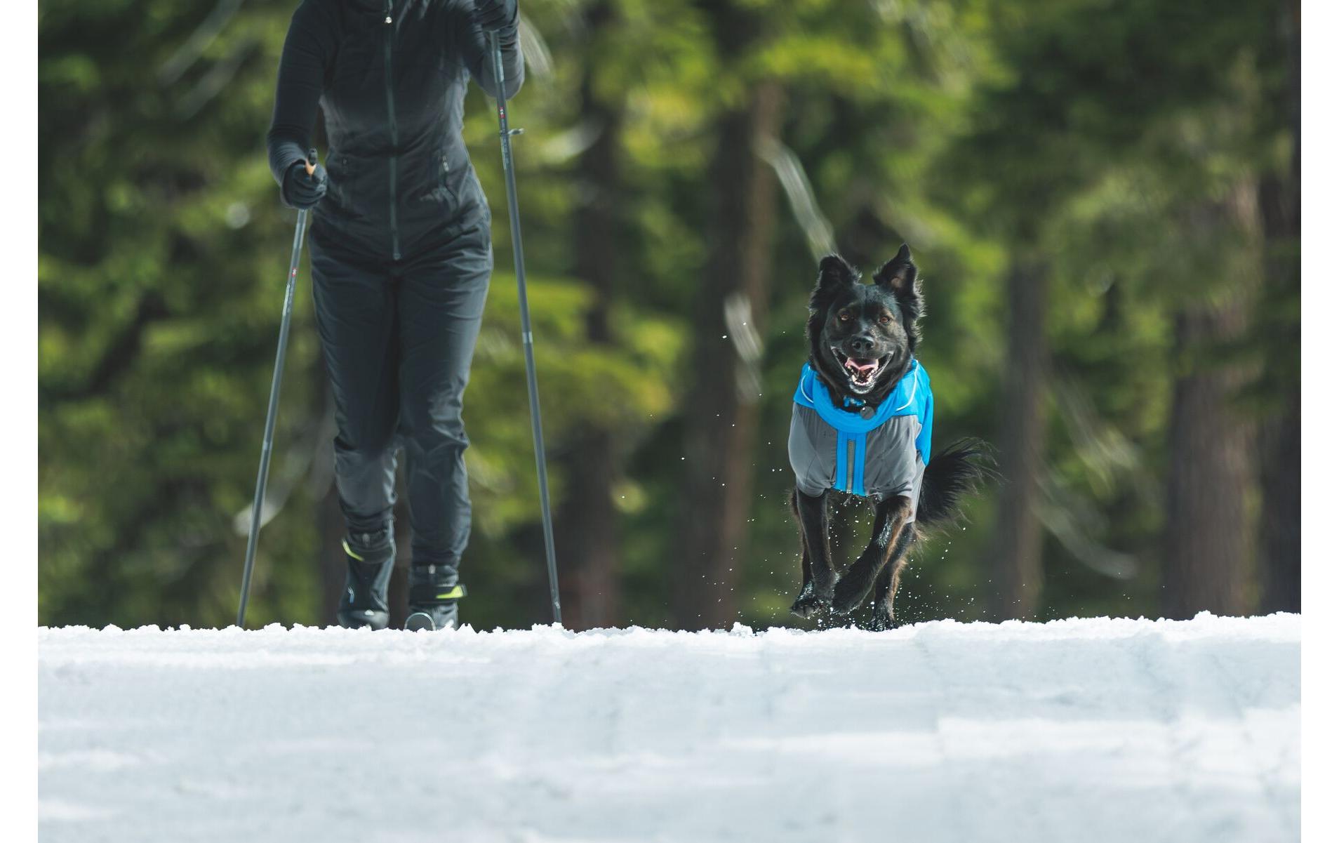 Wintermantel Vert Coverall Blau, XL<br>Hunde Wintermantel