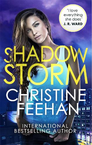 Shadow Storm - The Shadow Series (Paperback)