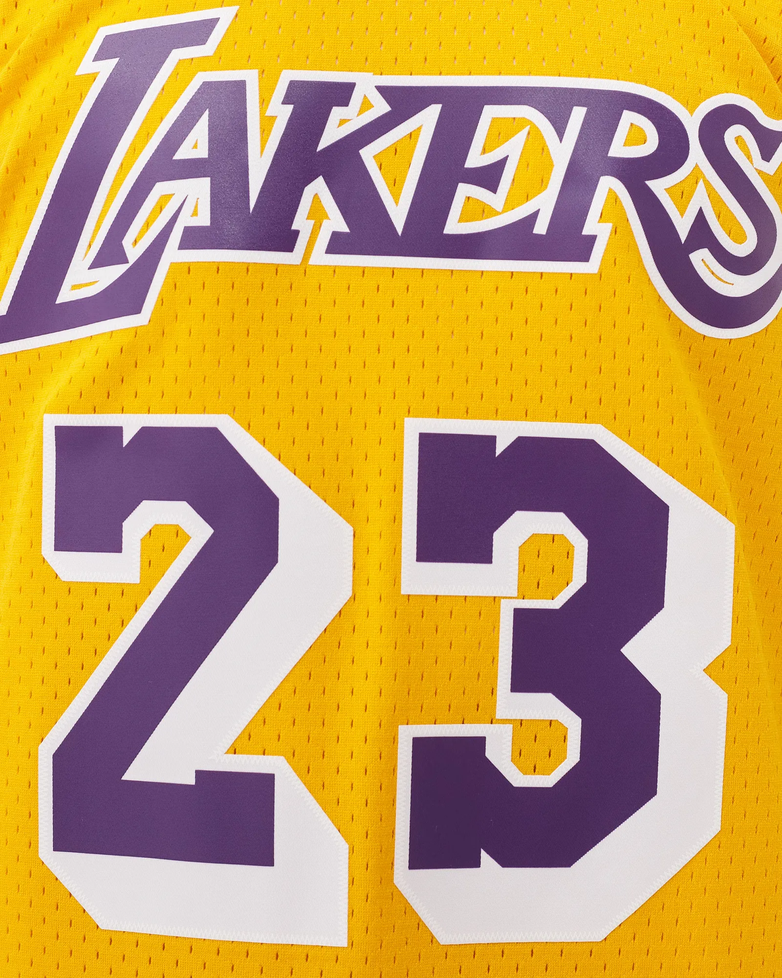 Mitchell & Ness NBA Swingman Jersey Los Angeles Lakers 1994-95 Cedric Ceballos #23