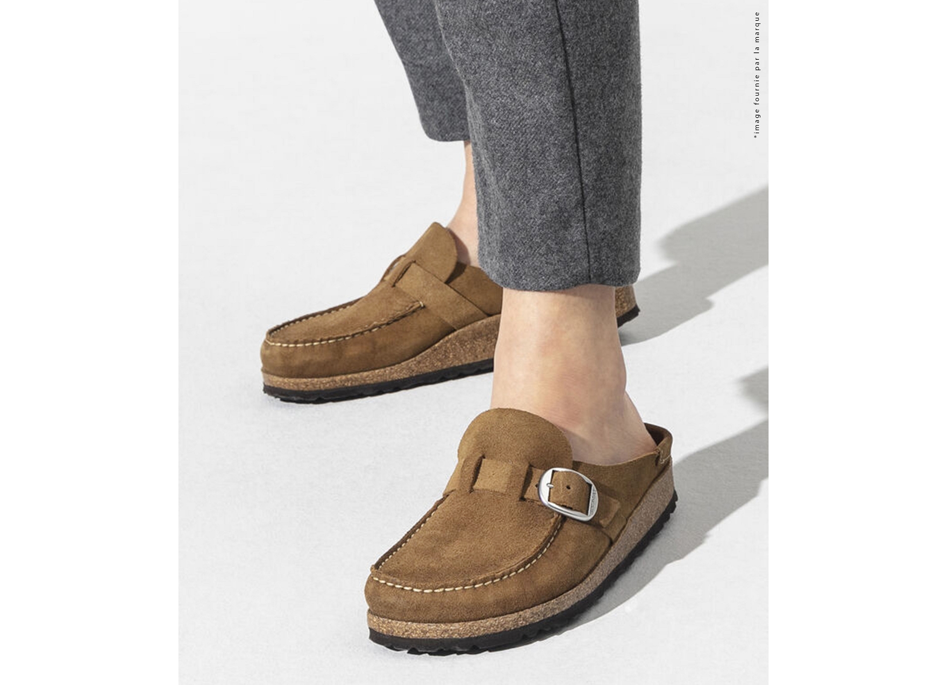 Buckley camel