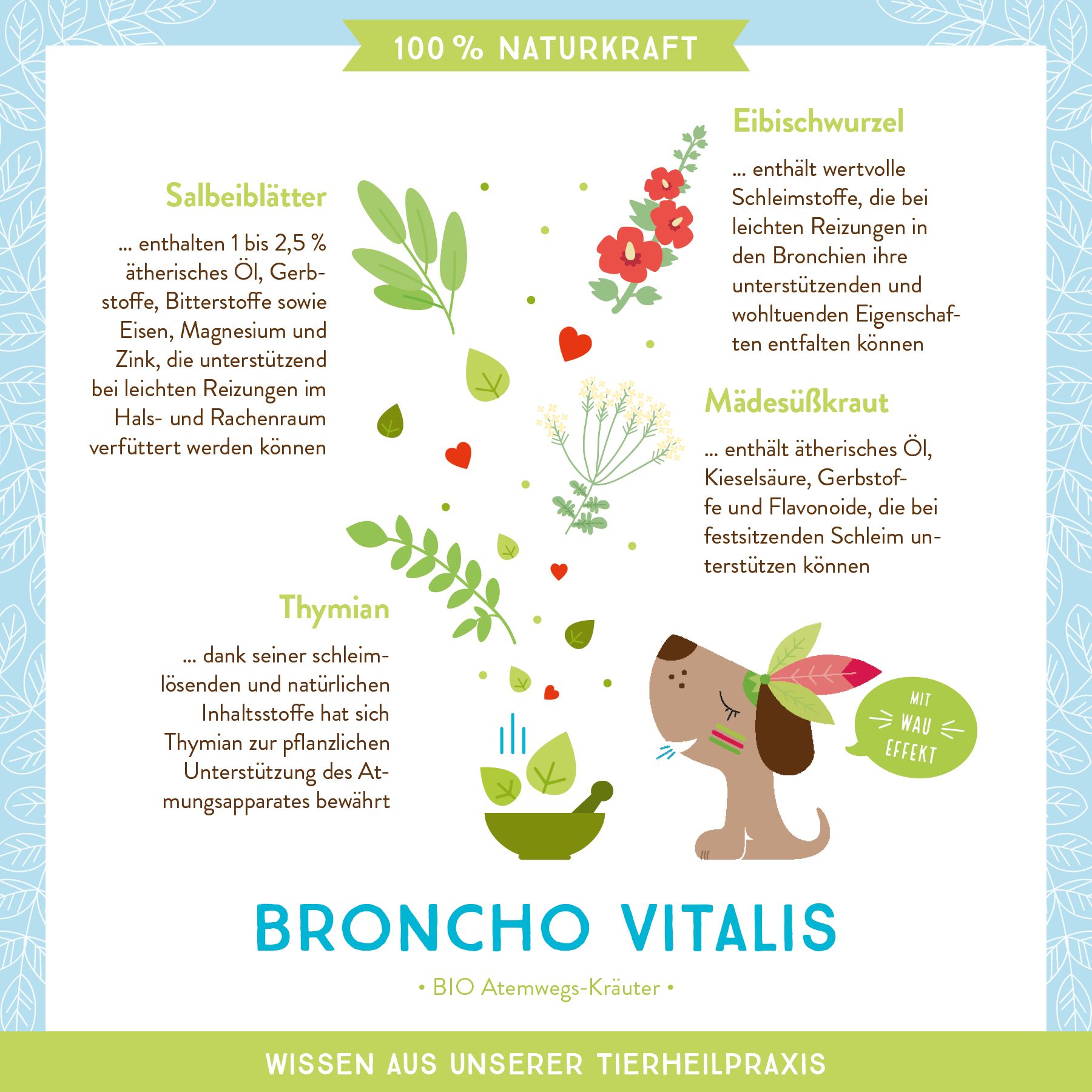 AniCanis Bio Atemweg & Bronchial Kräuter Broncho Vitalis für Hunde