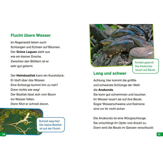 WAS IST WAS - Erstes LESEN easy! - Band 18 - Tiere im Regenwald