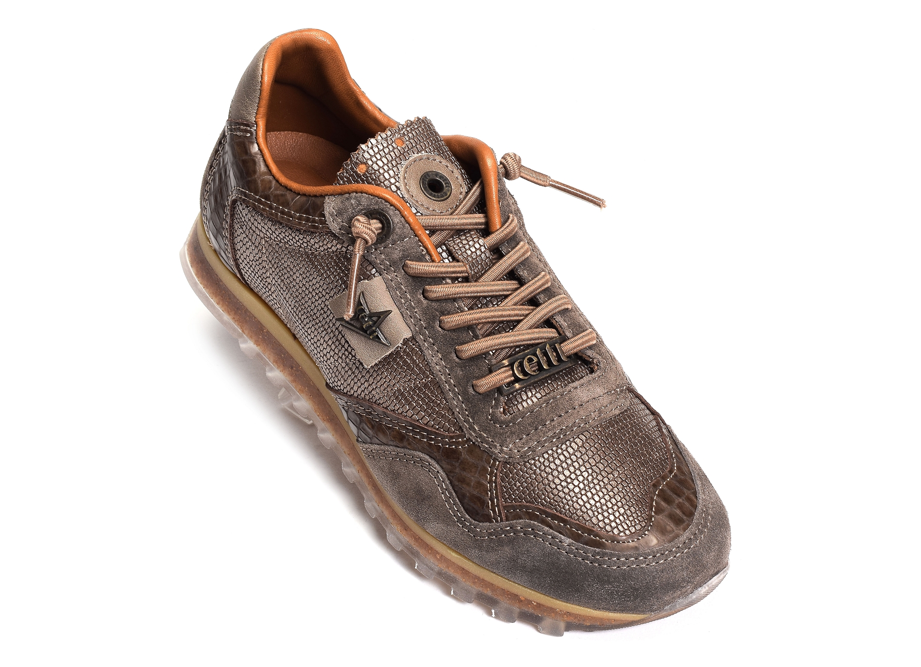 C848 w bronze