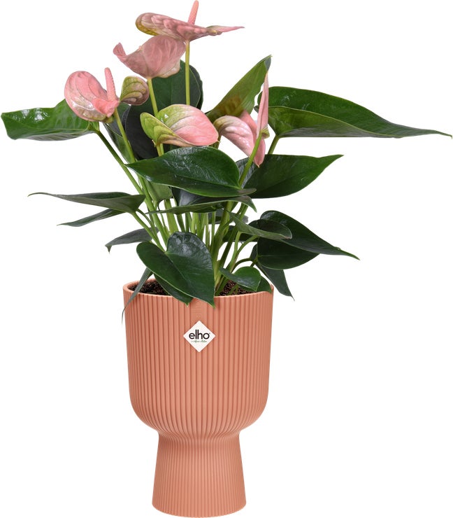 Elho bloempot op voet Vibes roze D 13,9 H 21 cm