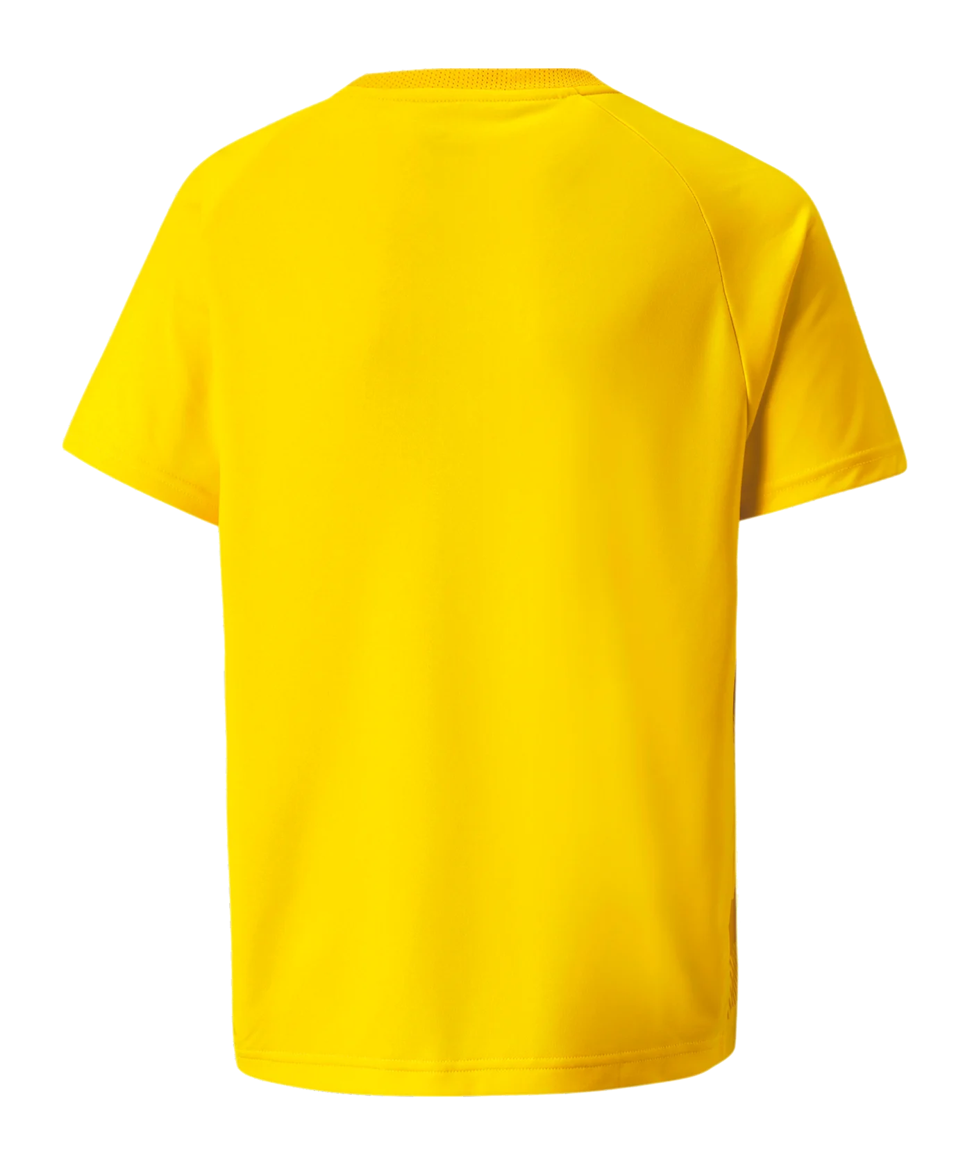 PUMA teamVISION Trikot Kids Gelb F07