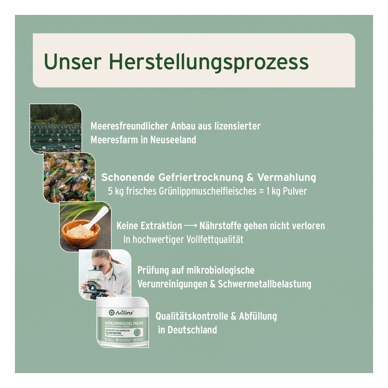 AniForte Grünlippmuschelpulver Vollfettqualität 100 g