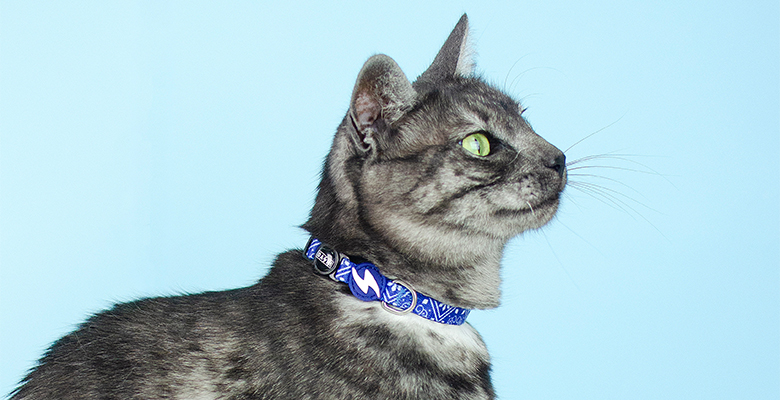 Coleira Zillij para Gatos, Cores Variadas