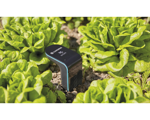 GARDENA Smart Sensor voor bodemvochtigheid en temperatuur - Compatibel met SMART HOME van hornbach