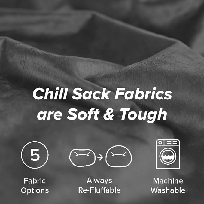 Chill Sack Bean Bag Chair: Giant 5' Memory Foam Furniture Bean Bag - Big Sofa with Soft Micro Fiber Cover - Charcoal