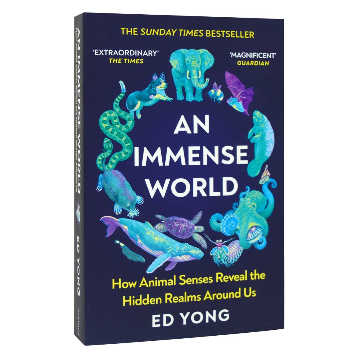 An Immense World (Paperback)