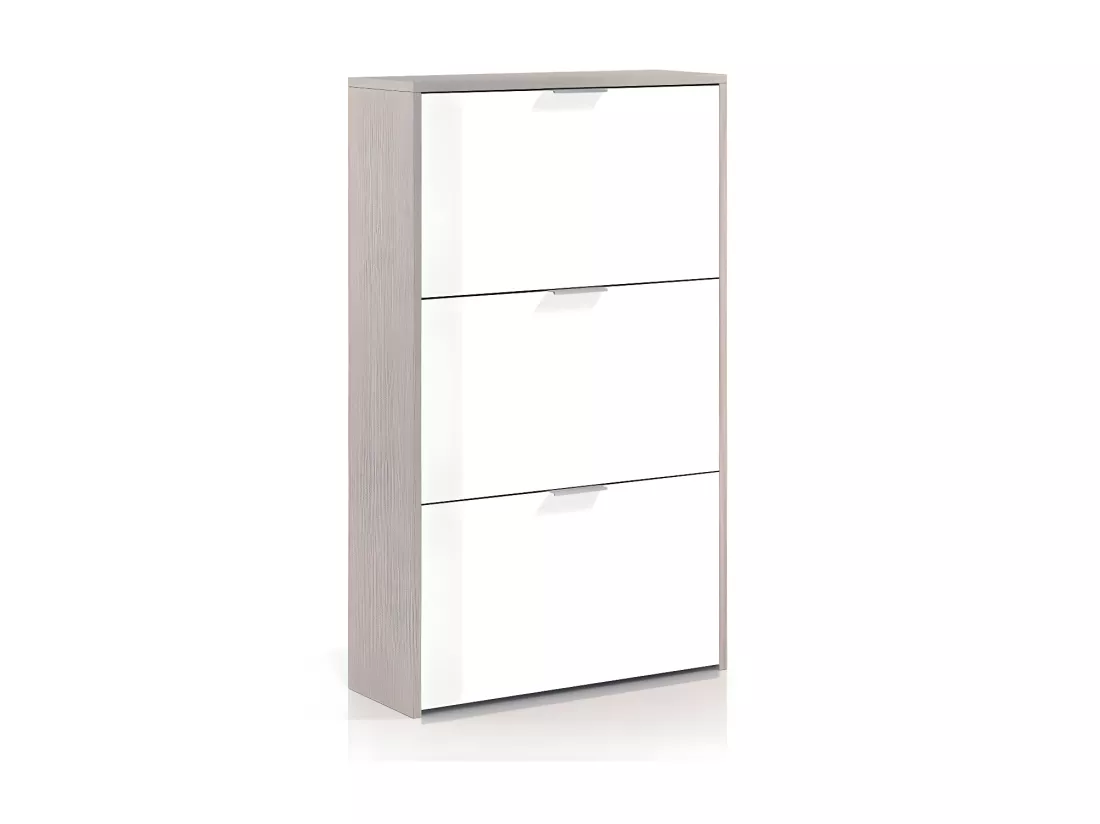 Meuble à chaussures Chêne/Blanc brillant - TIARALA - L 60 x l 22 x H 113 cm