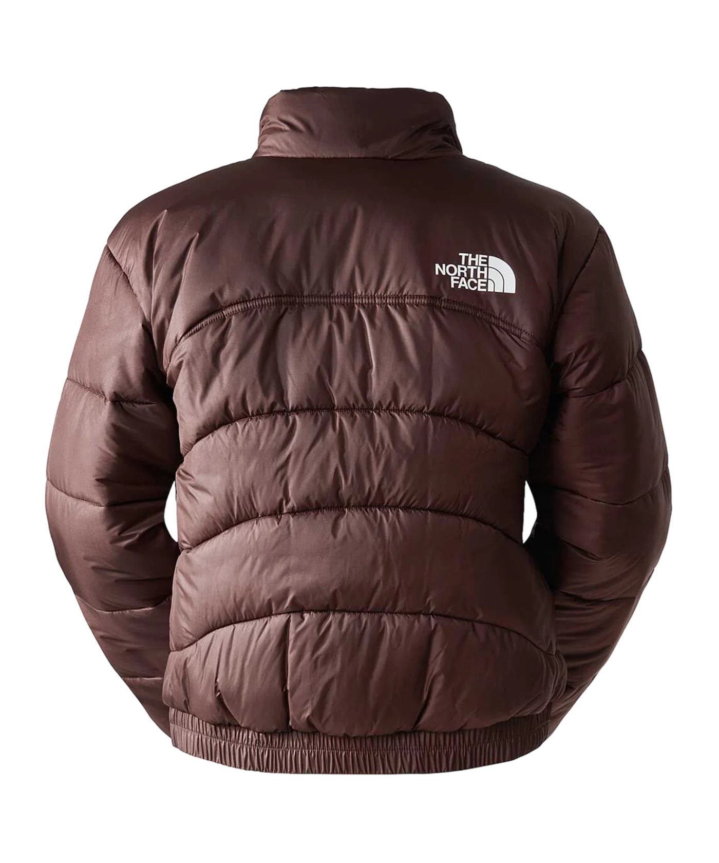 The North Face 2000 Jacke Braun FI0I