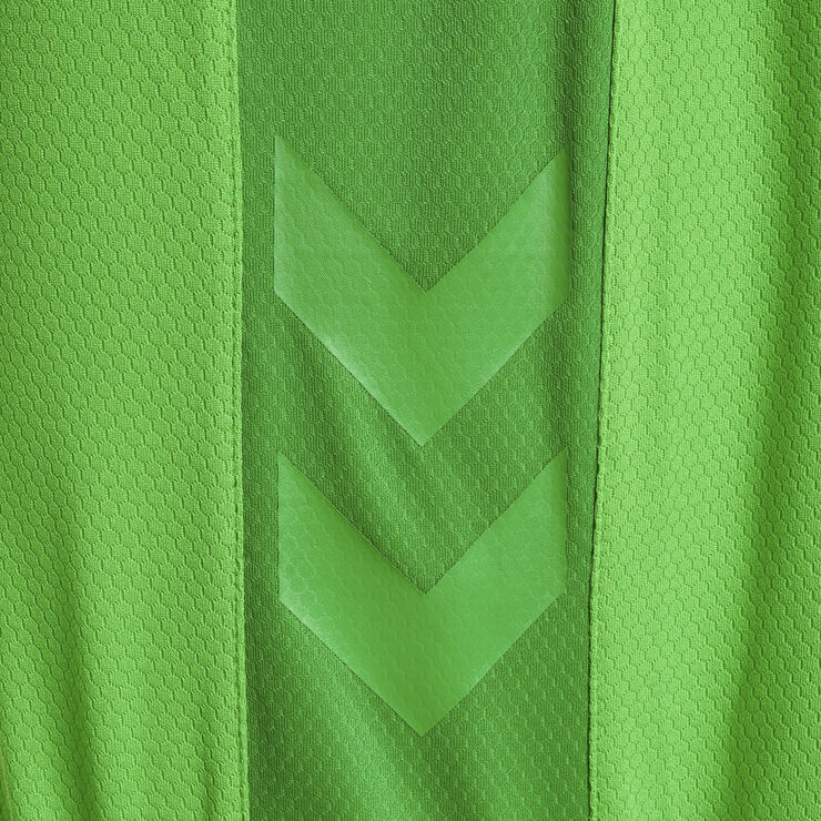 Hummel DBU Danmark målmandsshorts 22 Grøn