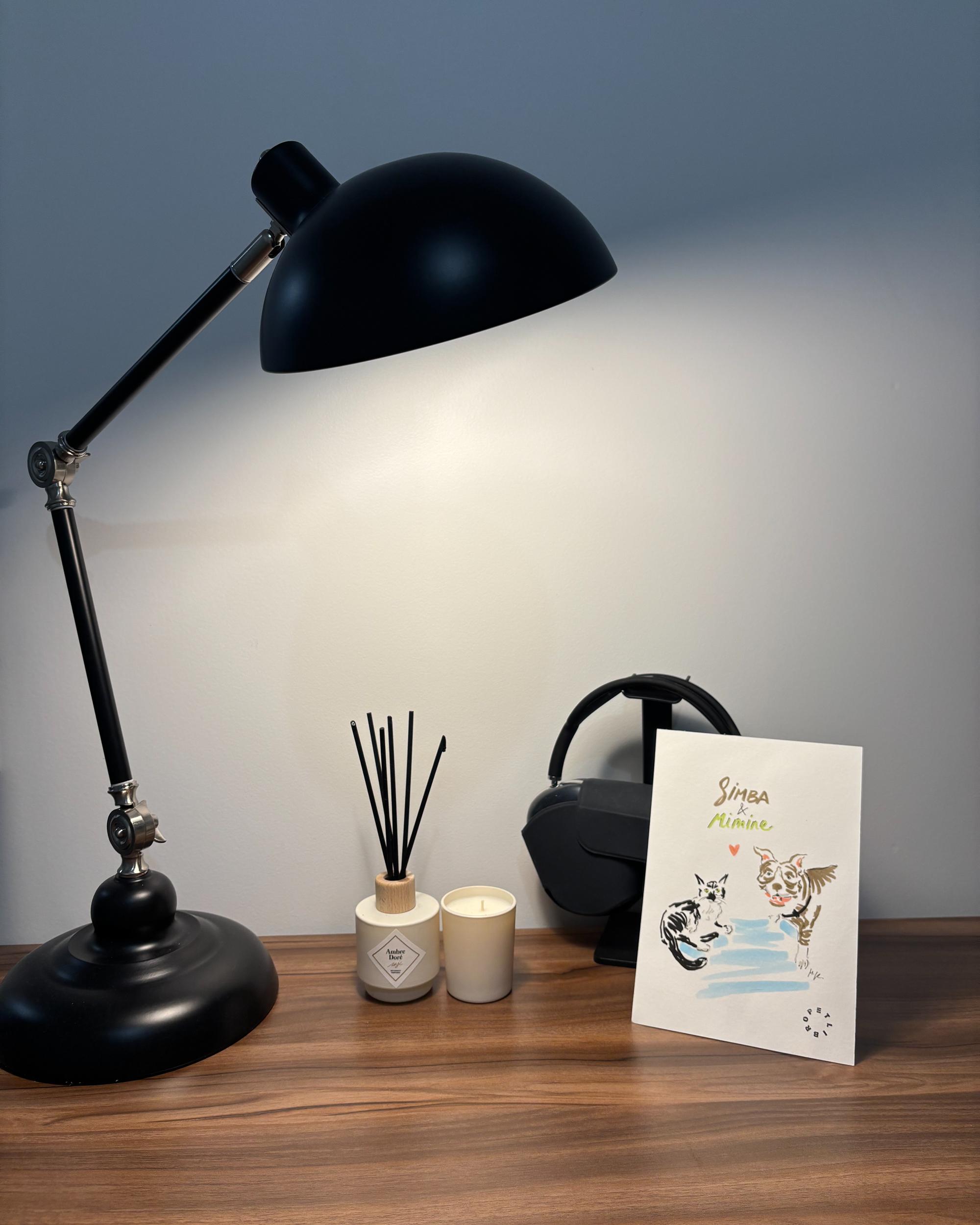 Bureaulamp MERAMEC verstelbaar Metaal Zwart