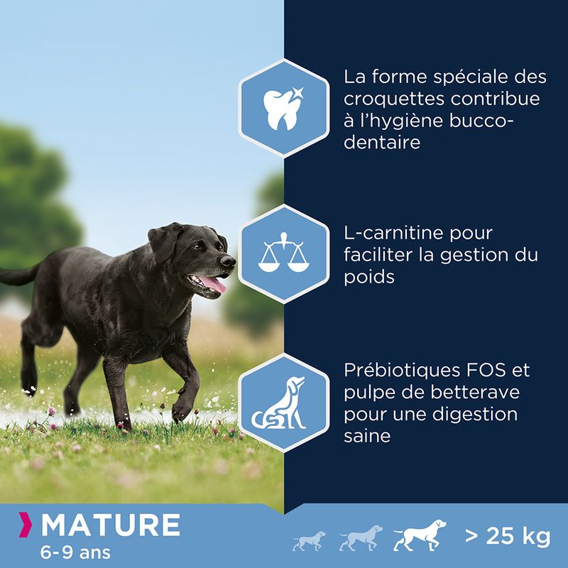 Eukanuba Thriving Mature Large Breed poulet à prix discount sur bitiba.fr
