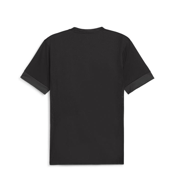 PUMA Men TeamGOAL Matchday T-Shirt