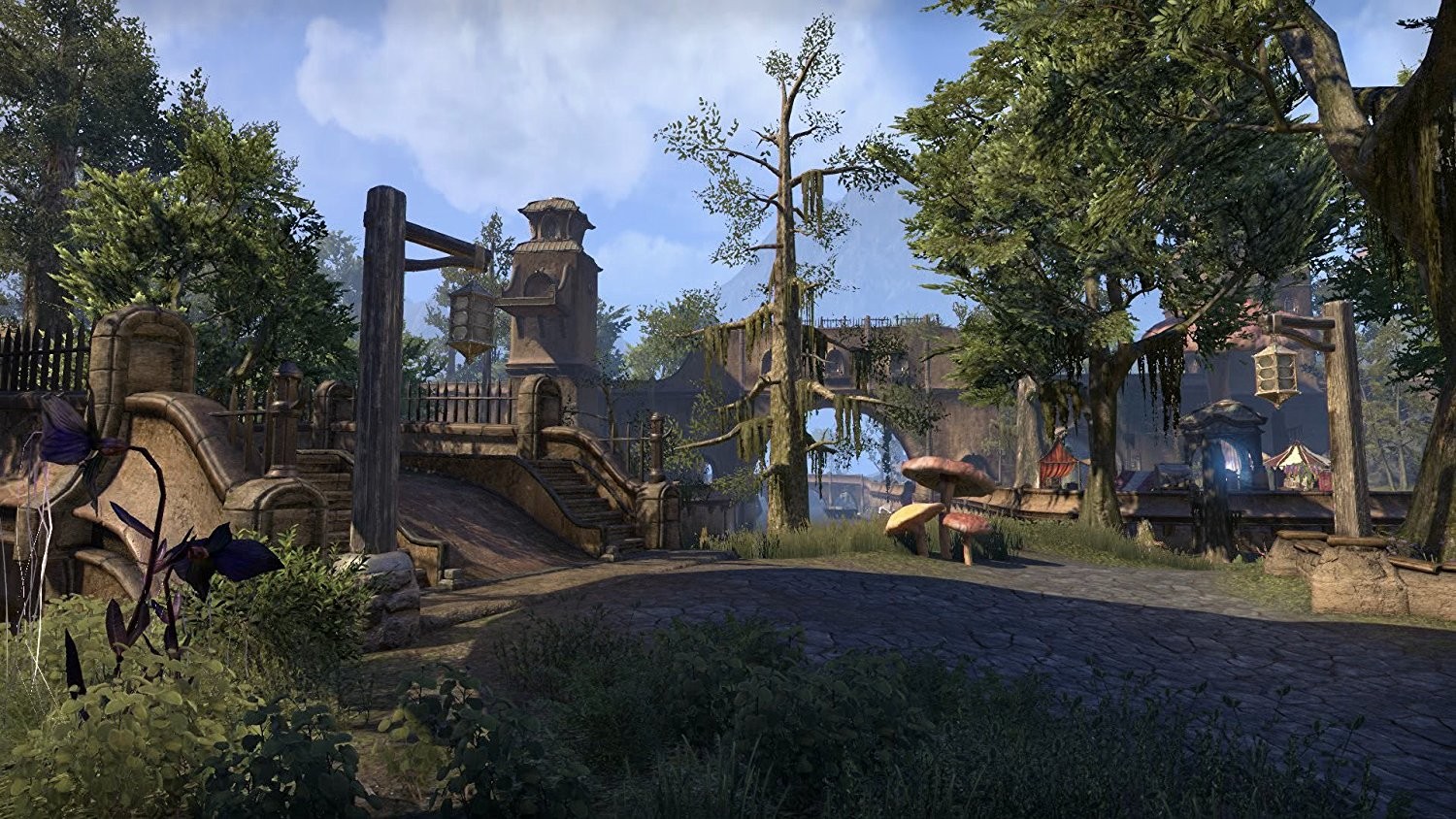 The Elder Scrolls Online: Morrowind (Day 1 Edition)- PlayStation 4