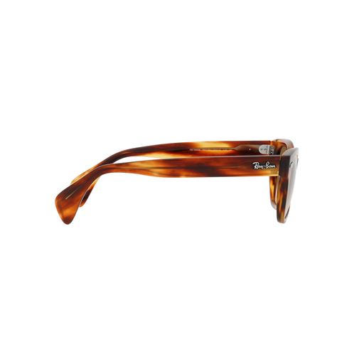 Ray Ban RB0880S Solbriller, Havana
