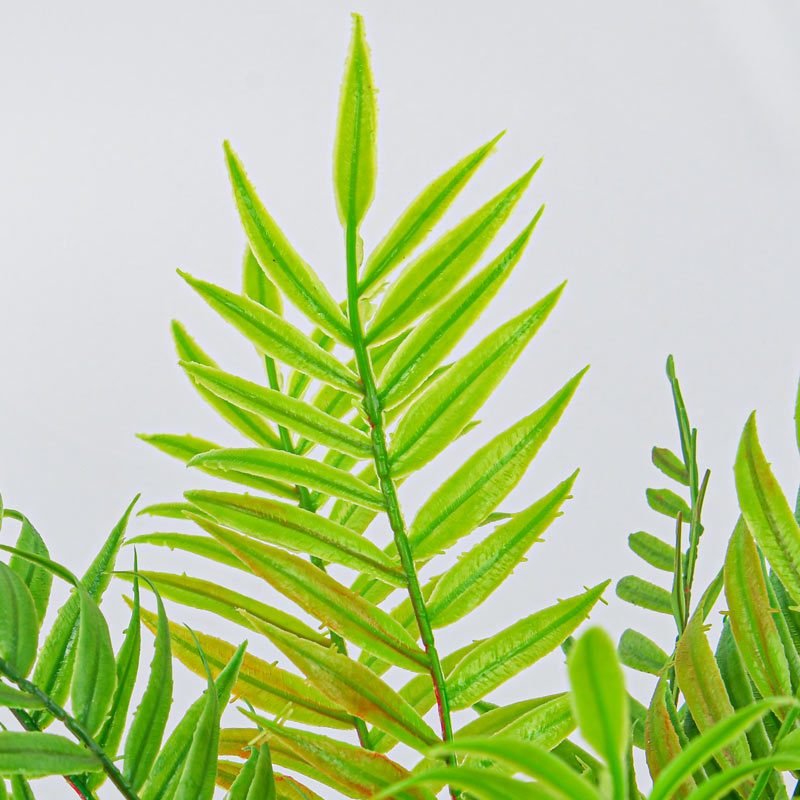Palmier areca en pot vert