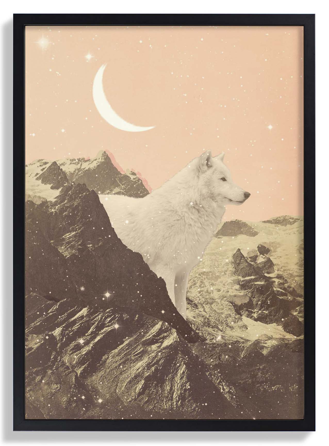 Riesiger weißer Wolf in den Bergen von Florent Bodart