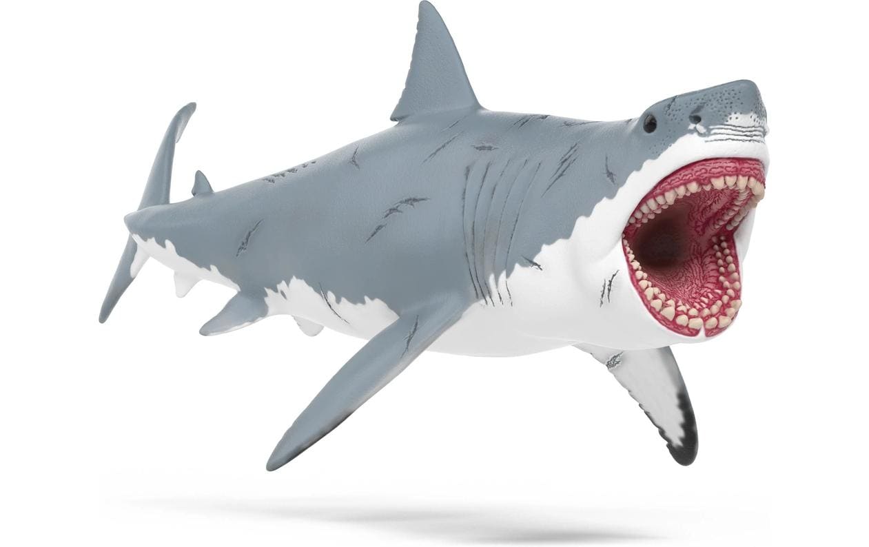 MegalodonDinosaurus