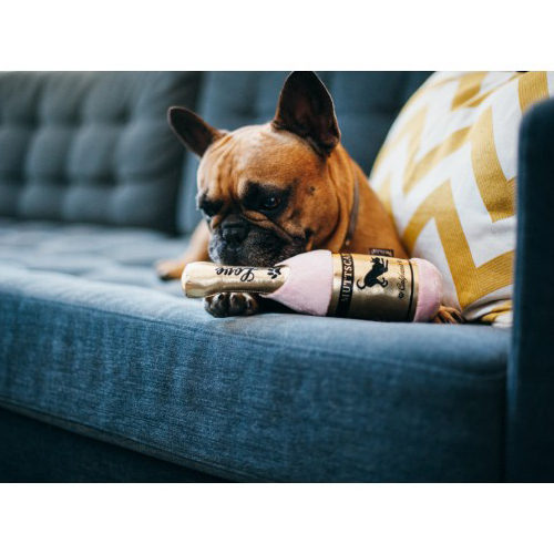 P.L.A.Y. Pet Puppy Love - Muttscato Bottle Pluche