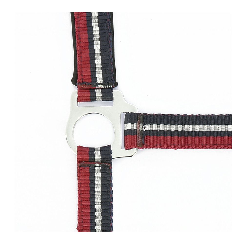 Norton BRILLANT - Licol + Longe rouge/marine/coloris argenté