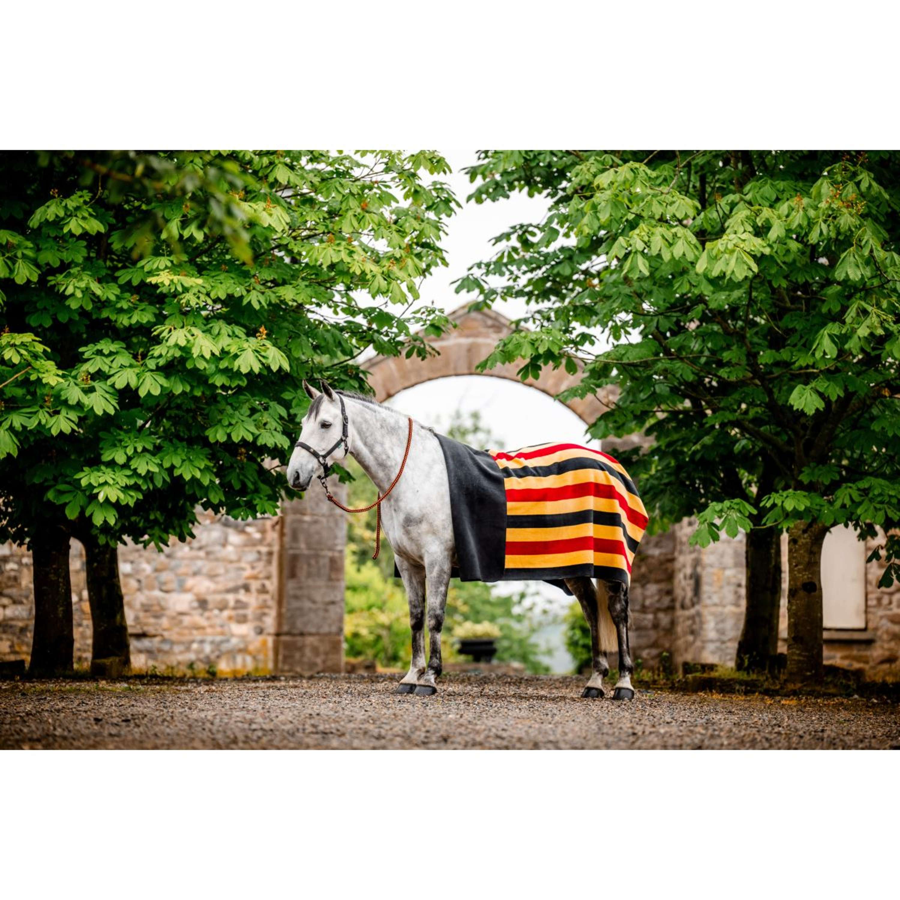 Horseware Fleecedeken Newmarket Witney Gold