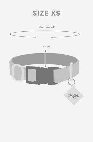 Coleira para cães - Boreal - Symphony