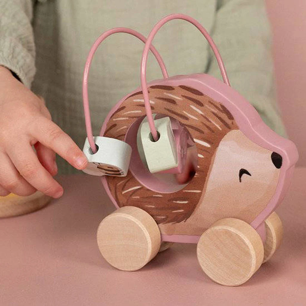 Fairy Garden Giftset