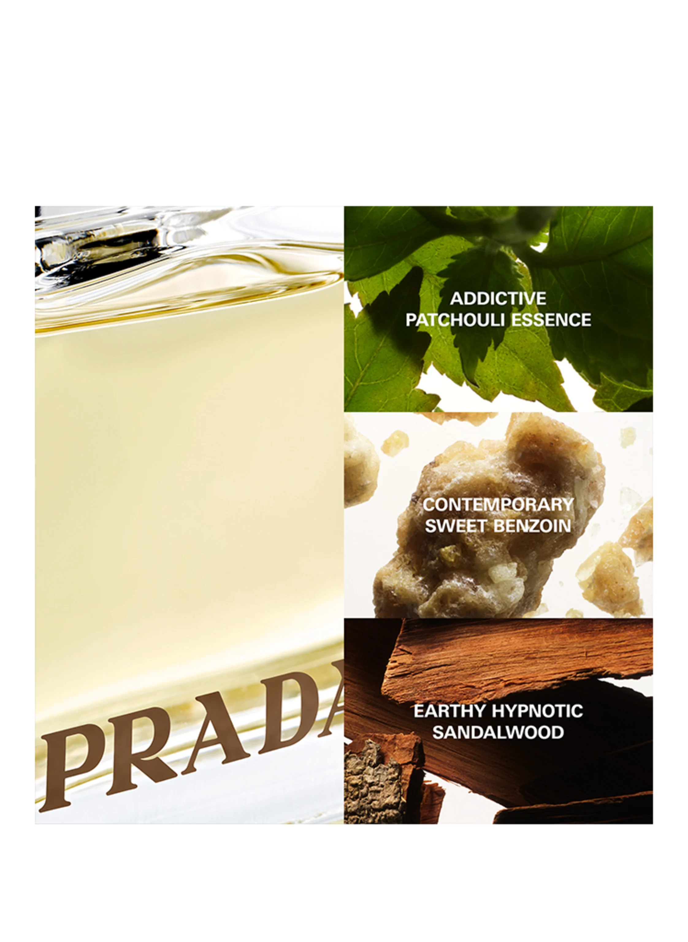 PRADA Parfums PRADA