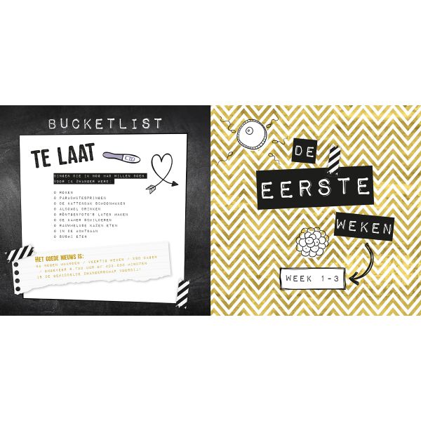 Lantaarn Publishers Negen Maandenboek