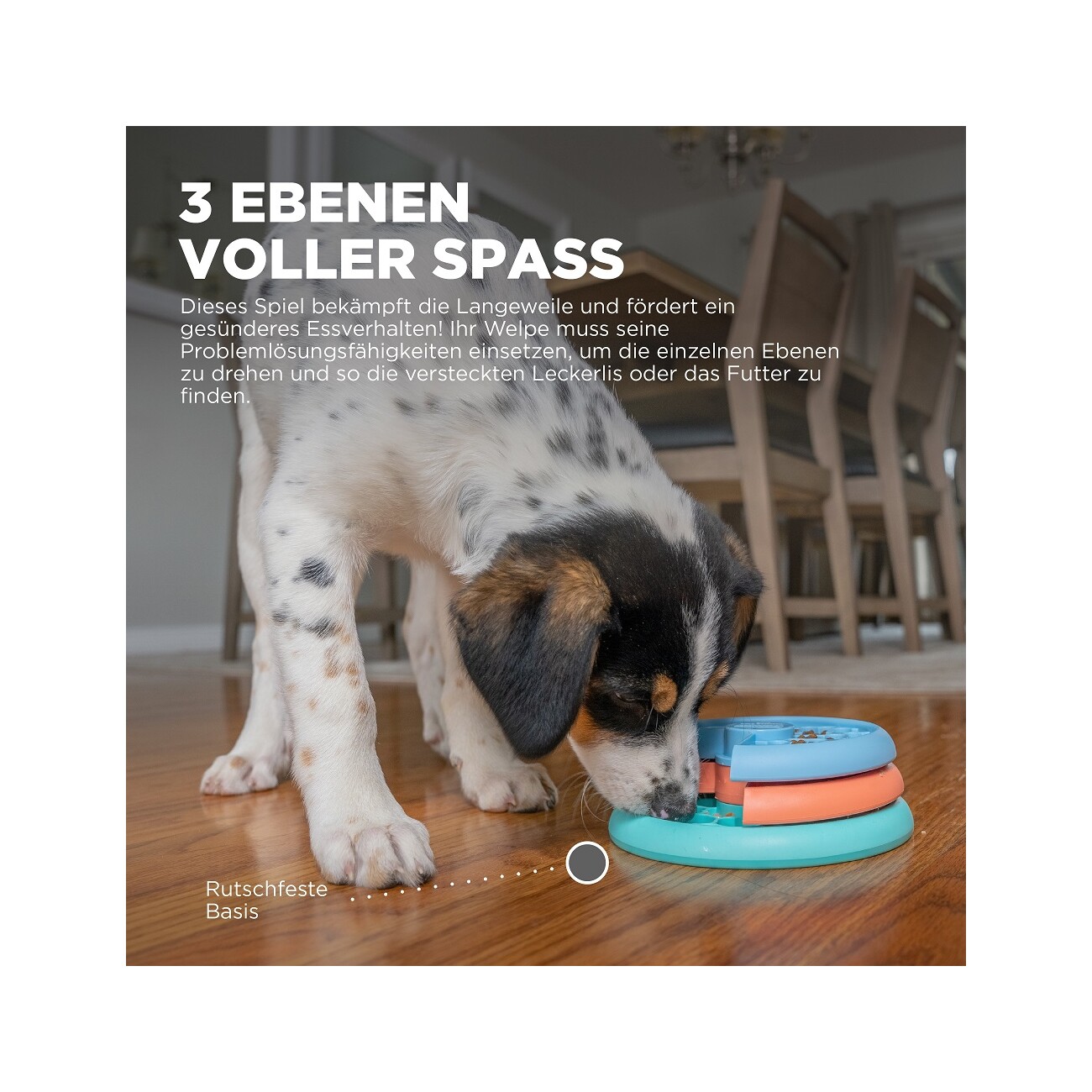 Nina Ottosson Puppy Lickin' Layers Intelligenzspielzeug
