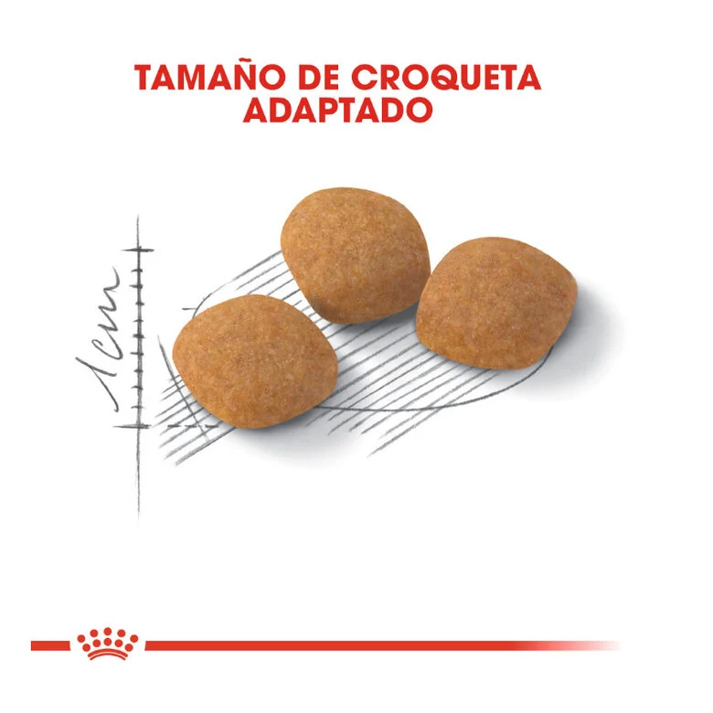 Ração Royal Canin Adult Exigent Protein para gatos