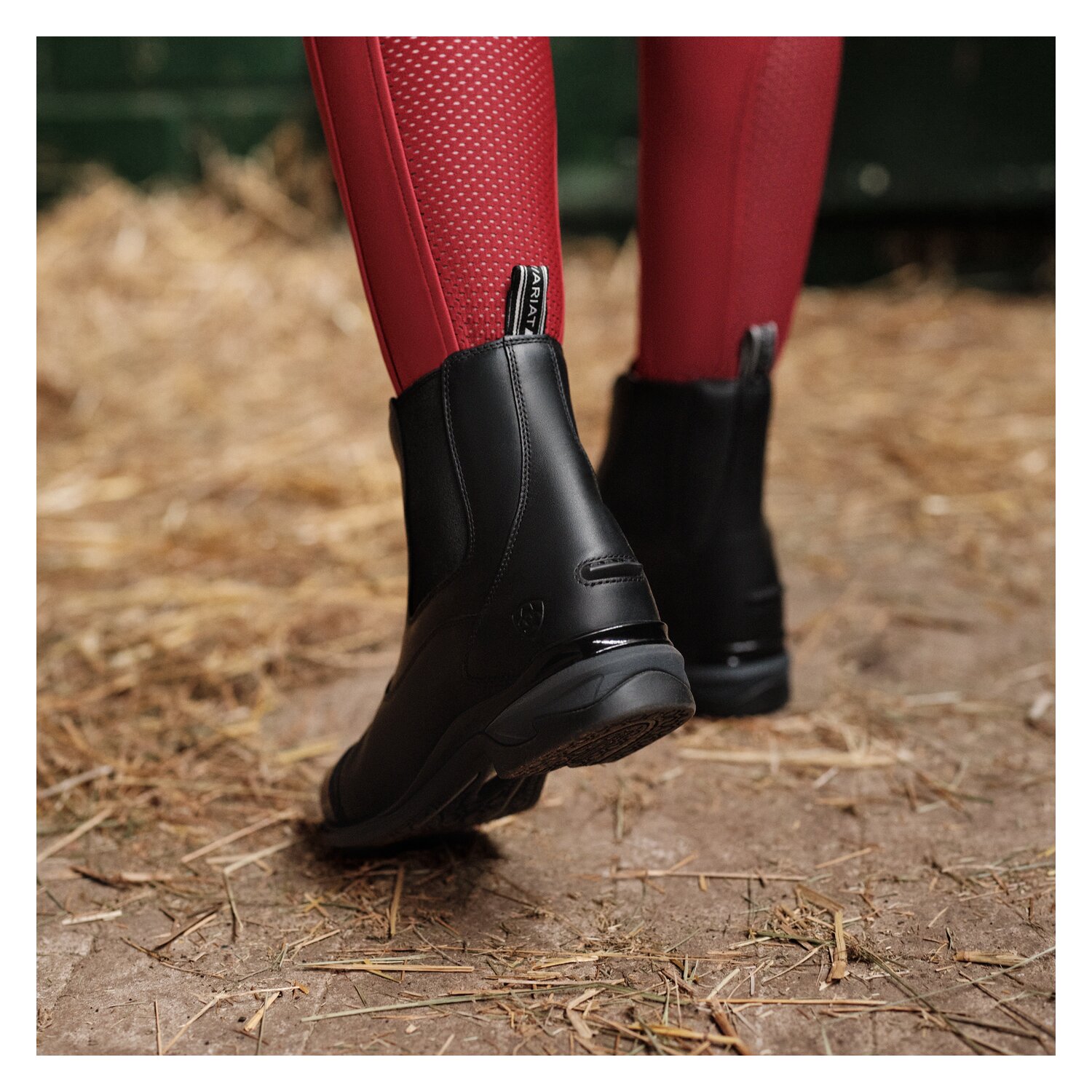 ARIAT Stiefelette Devon Zip Paddock  - schwarz